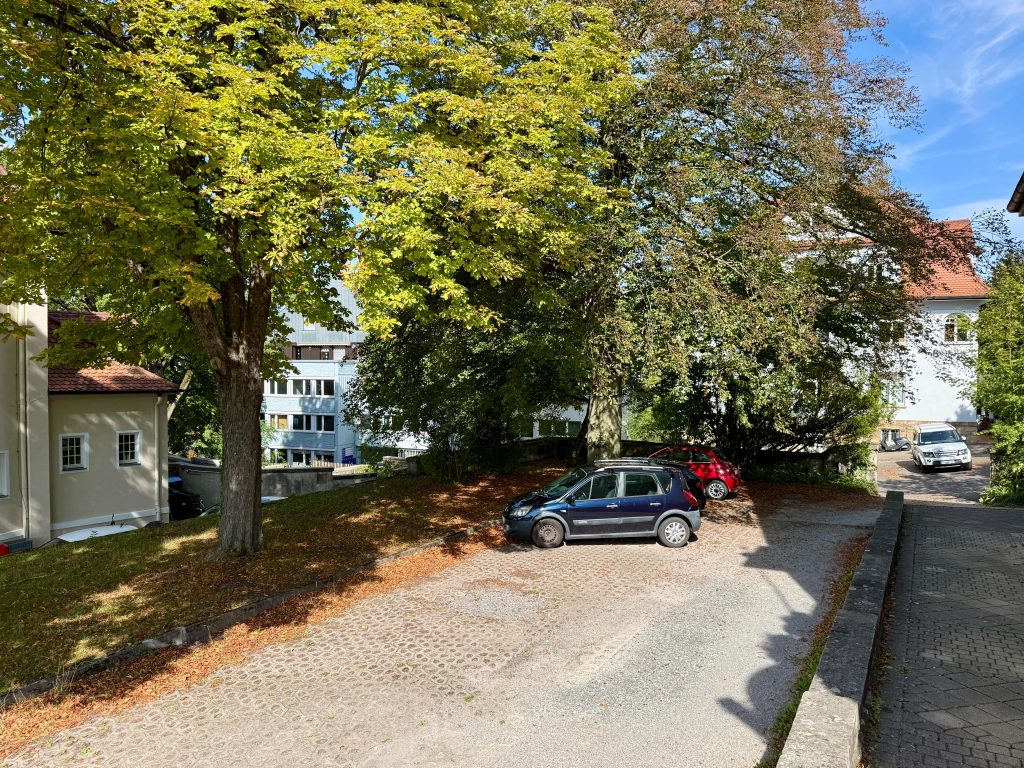 Stellplätze auf dem Grundstück, beschattet von alten Bäumen